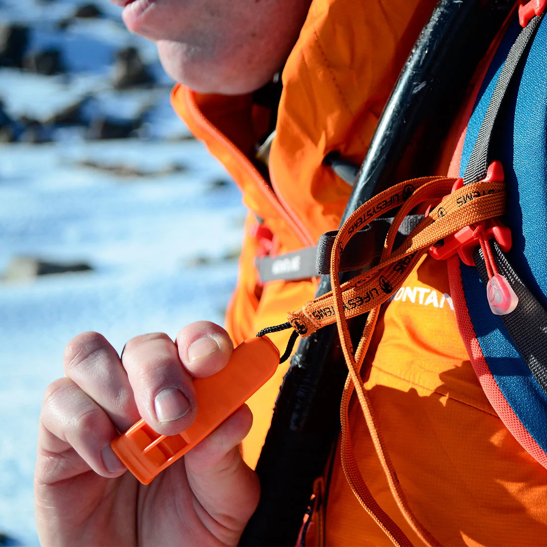 Safety Whistle - Image 2
